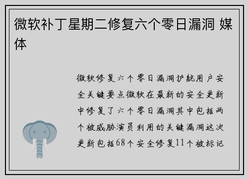 微软补丁星期二修复六个零日漏洞 媒体